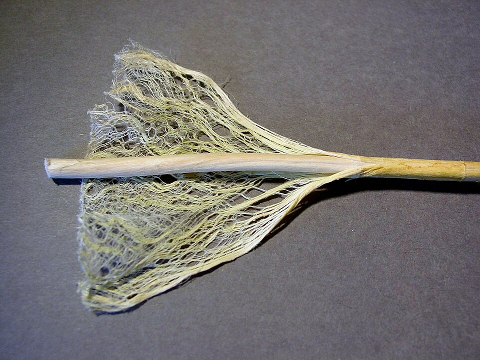 Kenevir sapı