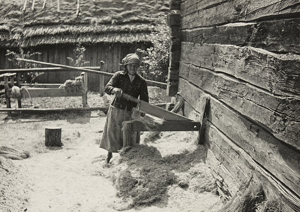 Horodyszcze’de (Pinsk yakını) kenevir kırma, 1939 öncesi