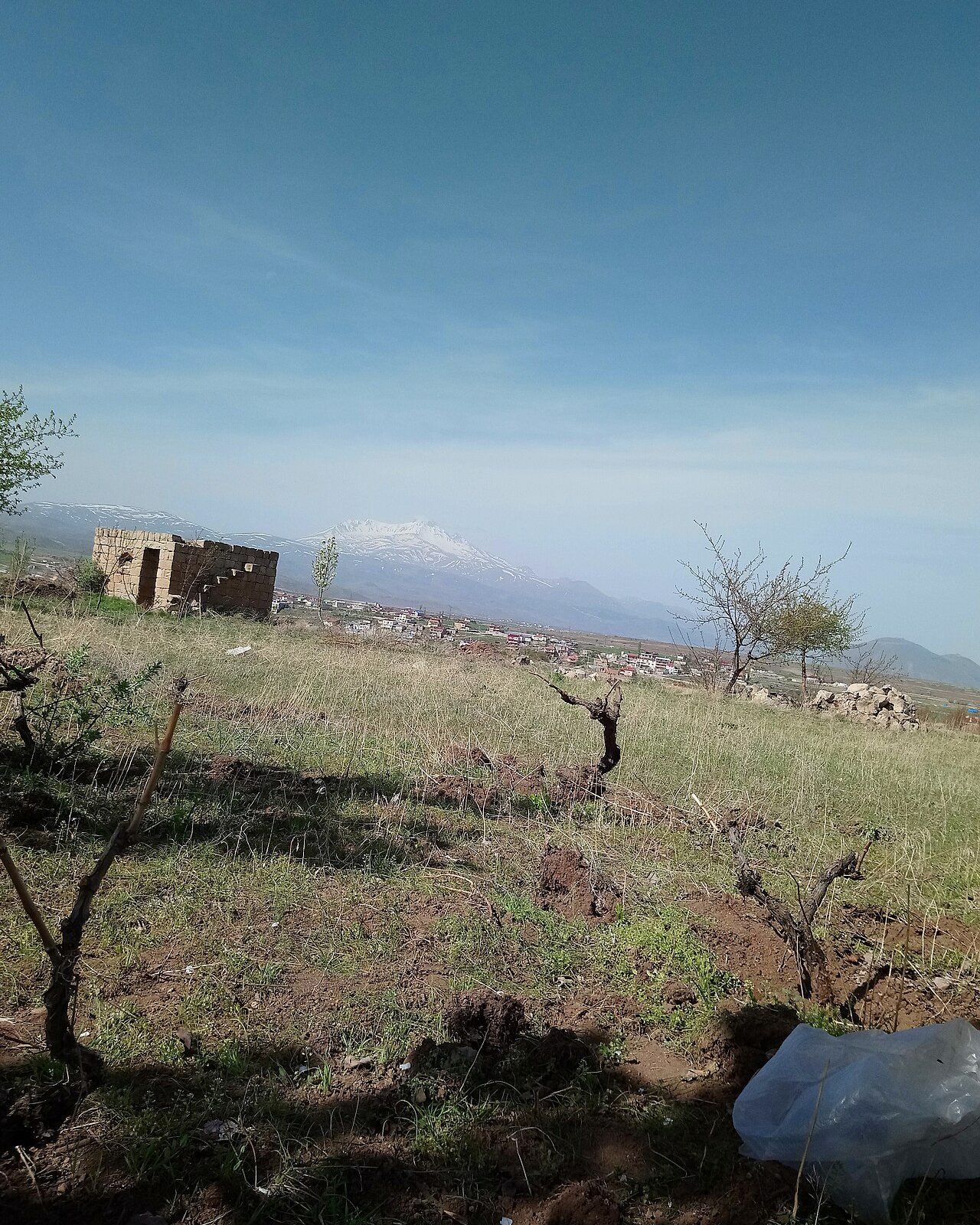 Erciyes Dağı önünde tarım arazileri