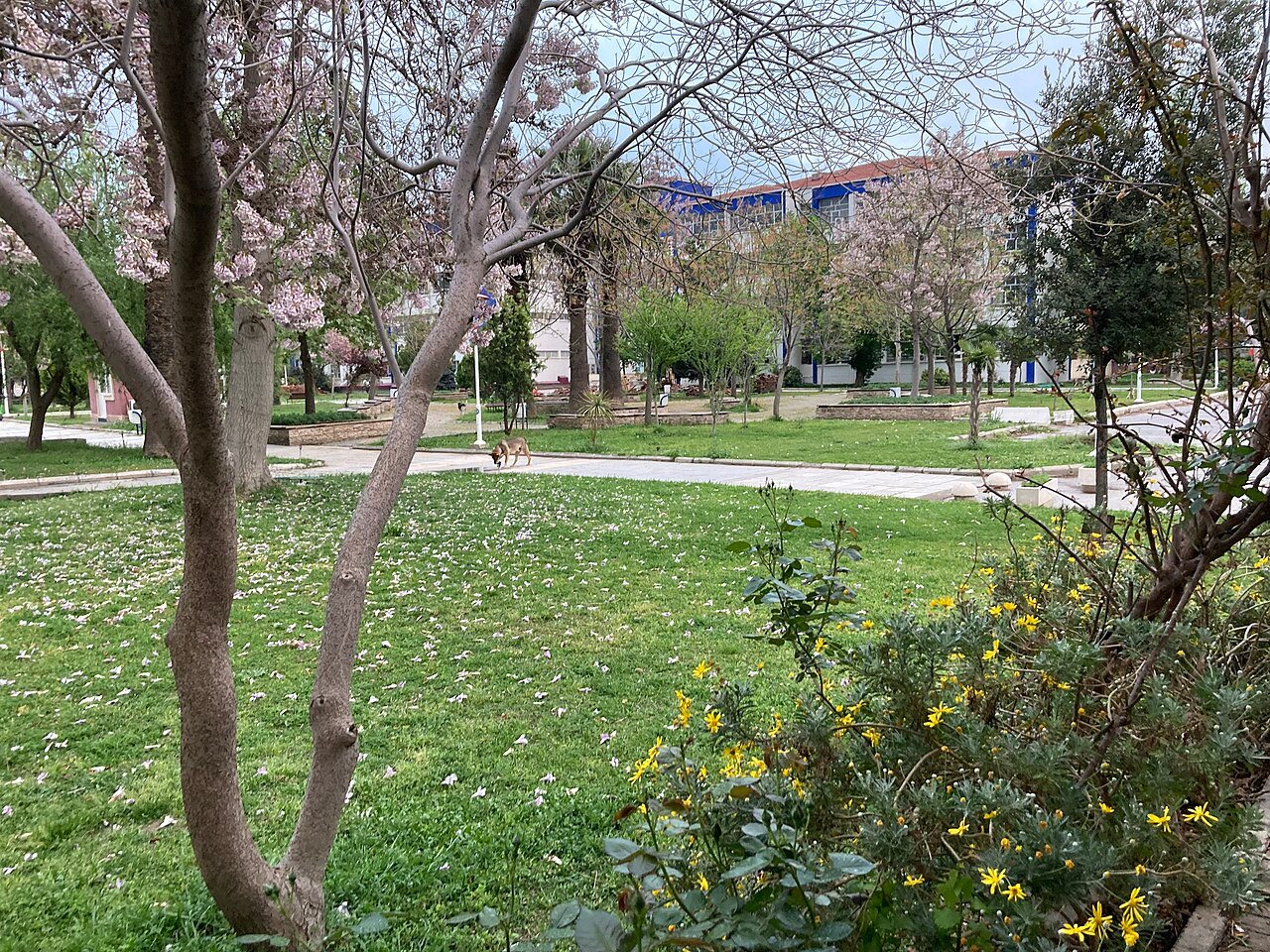Ege Üniversitesi kampüsünden görünüm
