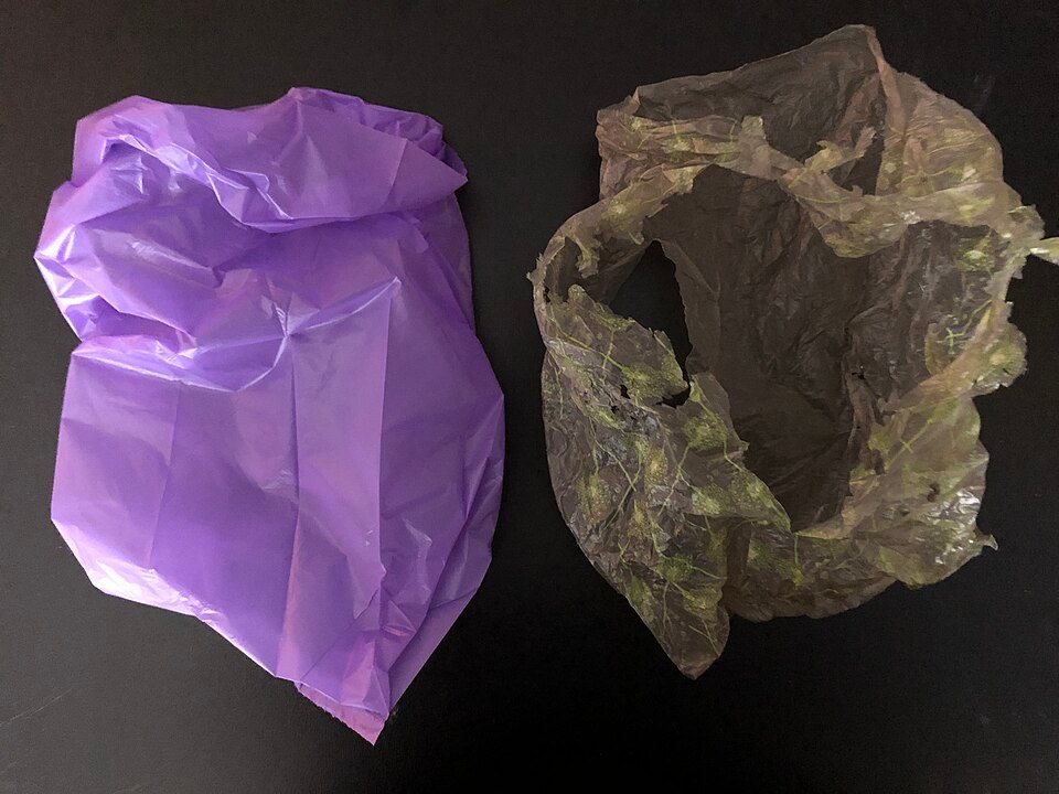 Yan yana iki poşet: petrol plastiği ve kenevir biyoplastiği
